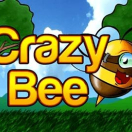 Bee Crazy Hd